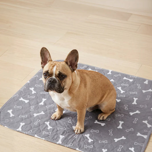 PupPad - The Last Pee Pad You'll Get
